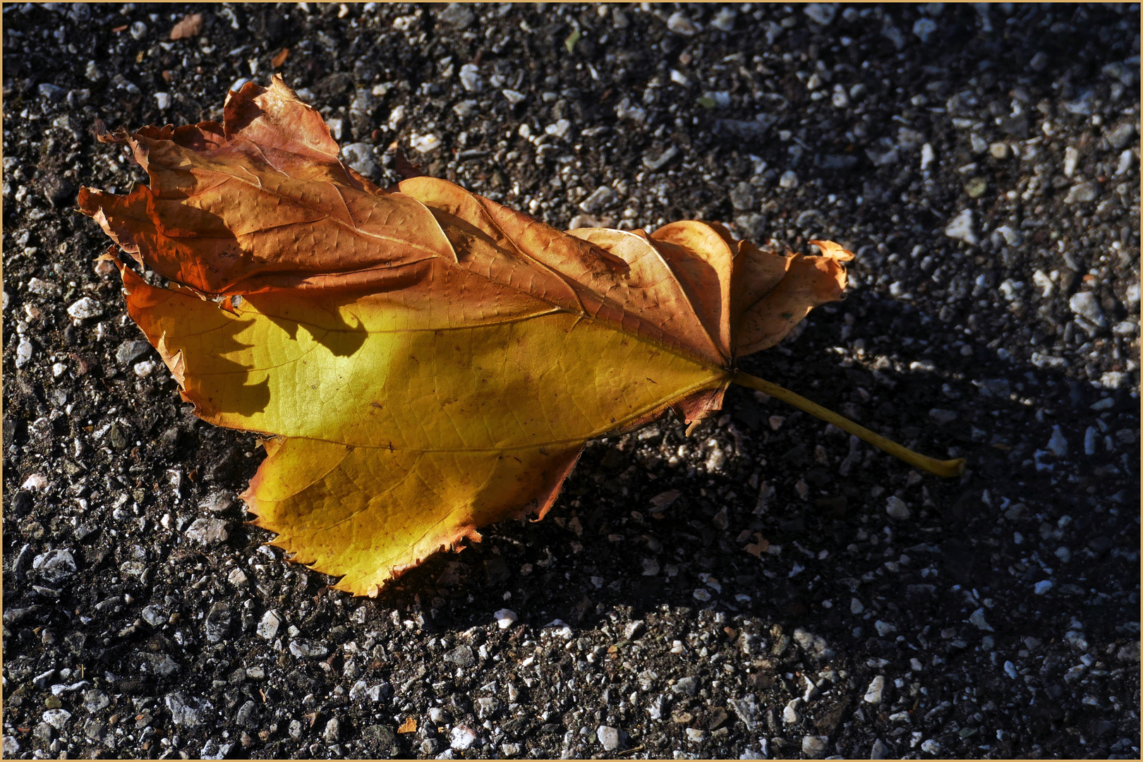 l automne est là .....