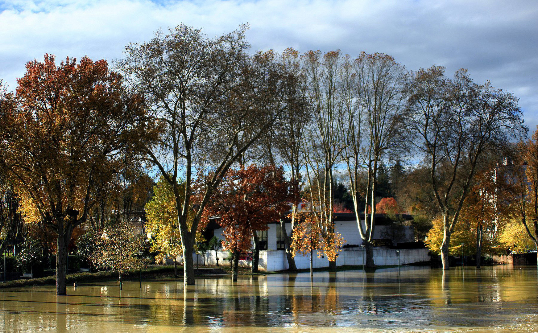 L Automne les Pieds dans l Eau....