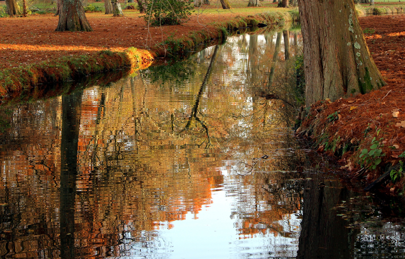 L Automne se Mire..........