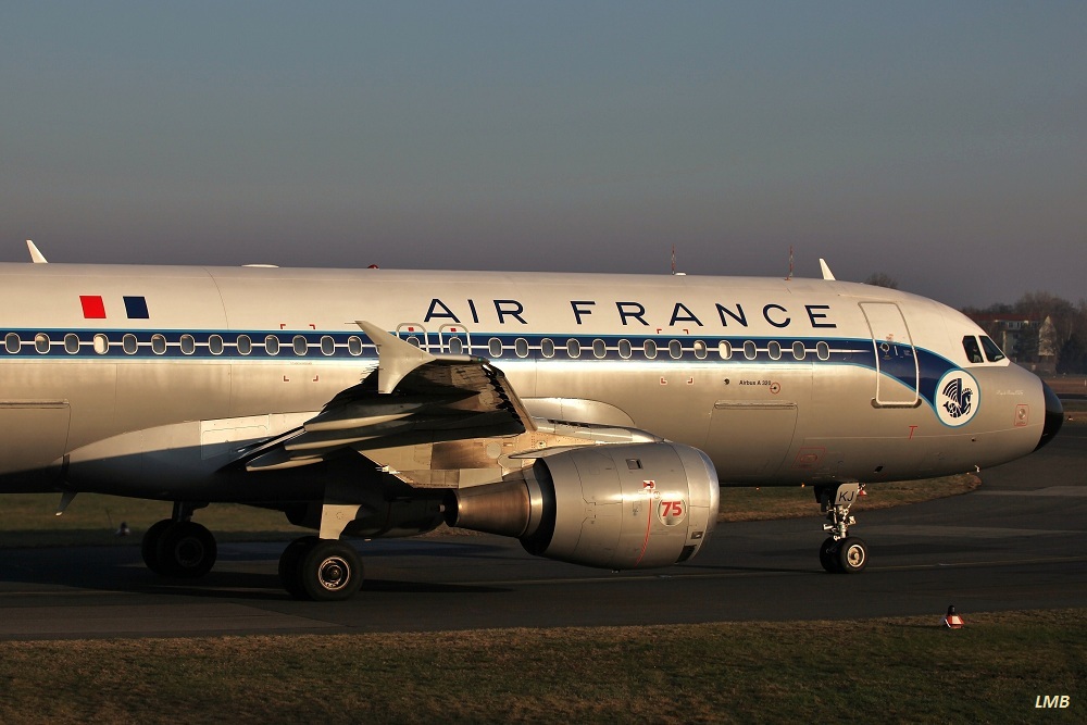 L' aviateur élégant de Paris