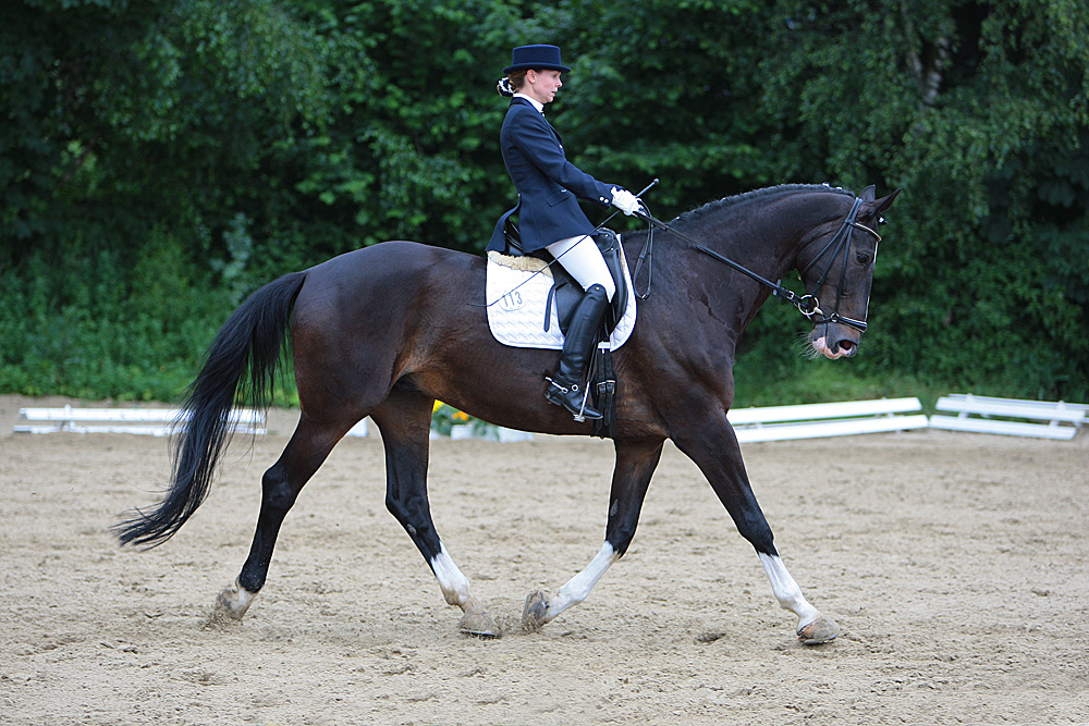 L-Dressur Trense beim IGPF Sterkrade-Nord