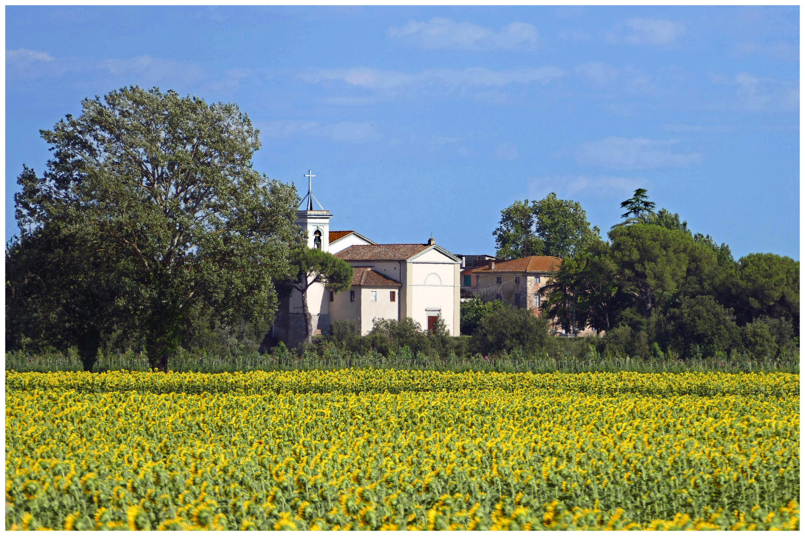 l èglise au milieu des champs....