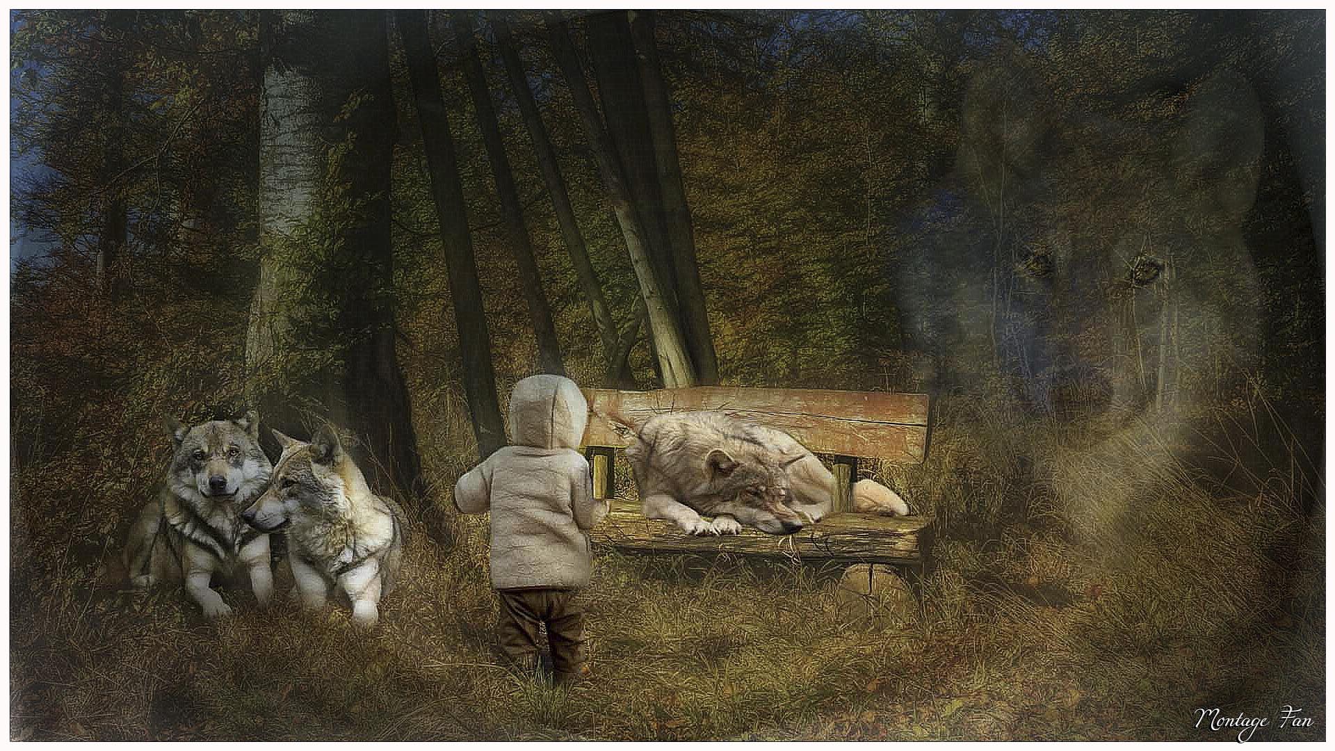 L' Enfant aux Loups