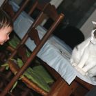 l' enfant et le chat.