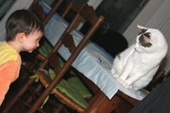 l' enfant et le chat.