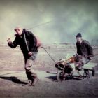 L entraide et la solidaritè des Picards en baie de Somme.