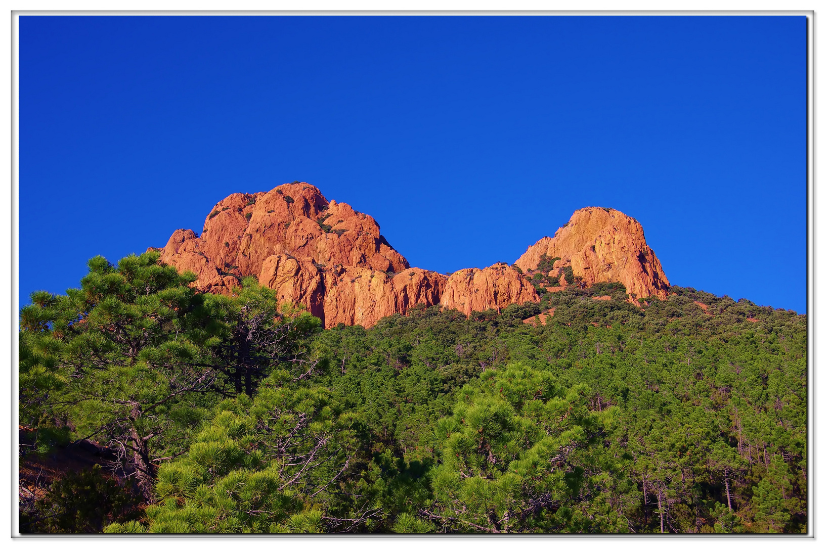 l esterel in tre colori...