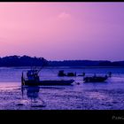 L 'heure mauve à L'île Tudy