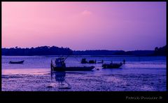 L 'heure mauve à L'île Tudy