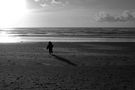 L' hiver à la plage, on court après le soleil. de gil franck 