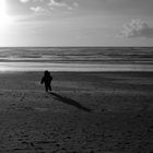 L' hiver à la plage, on court après le soleil.