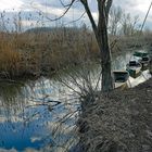 l hiver au marais entre deux averses...