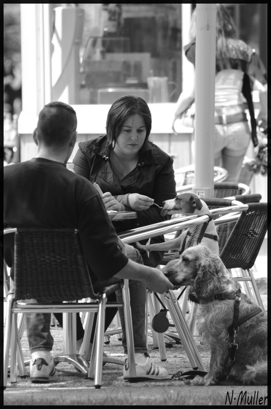 l homme est le meilleur ami du chien !