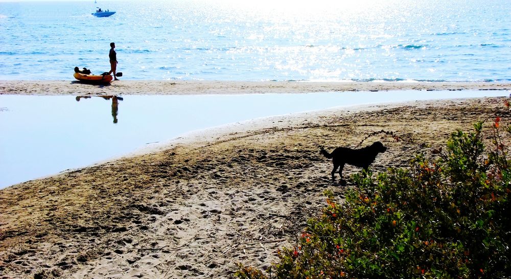 L' homme et son chien