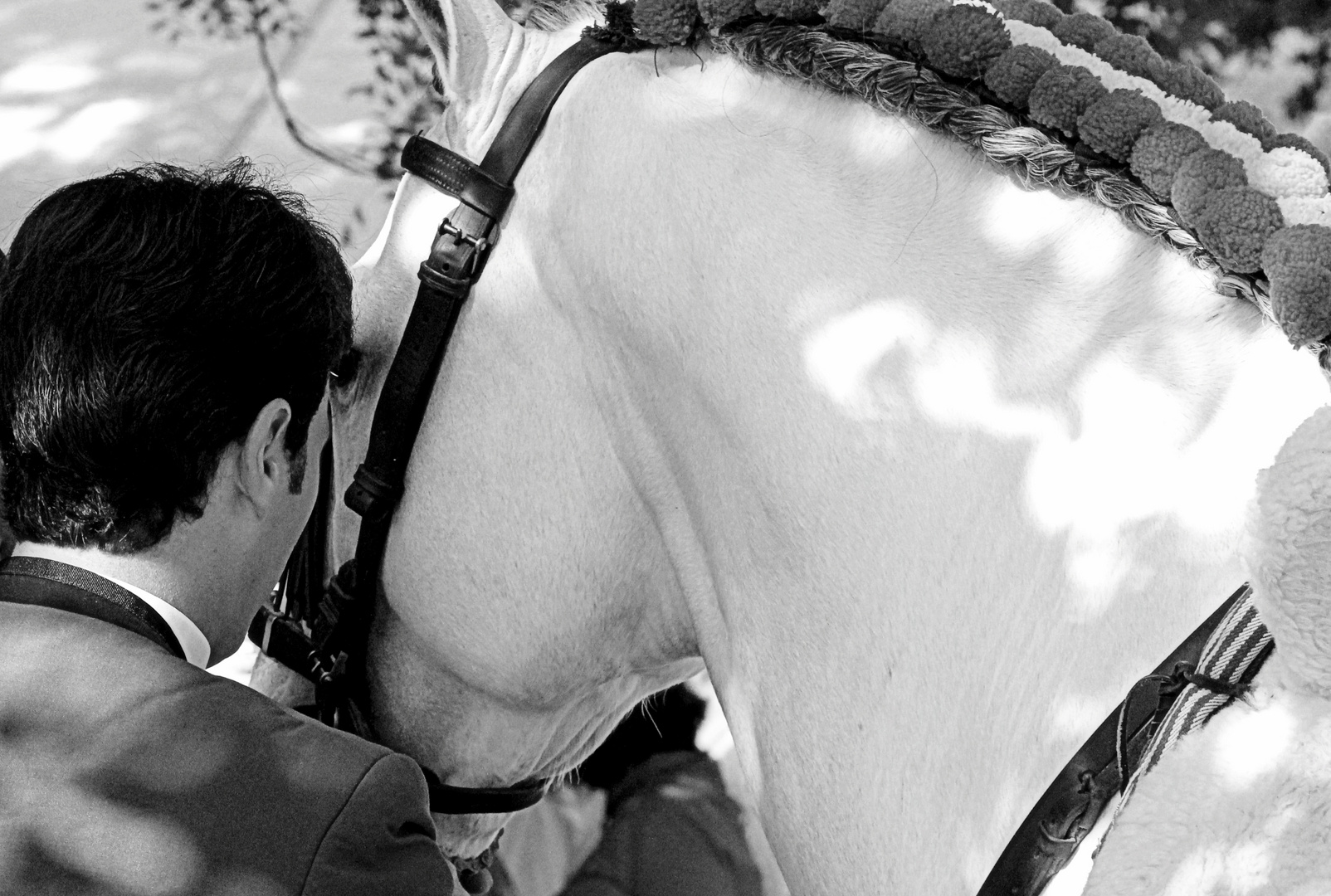 L Homme qui Murmurait à L Oreille des Chevaux