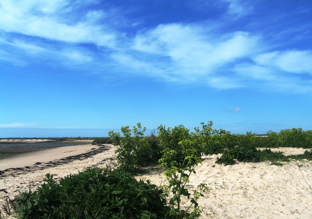 l 'ile de ré