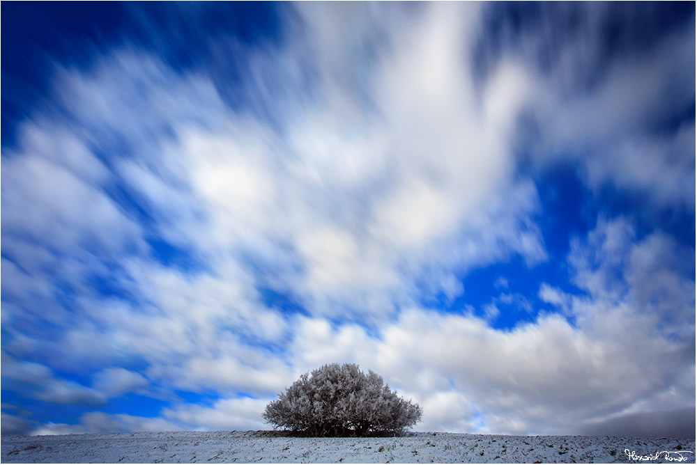 L' inverno che vola