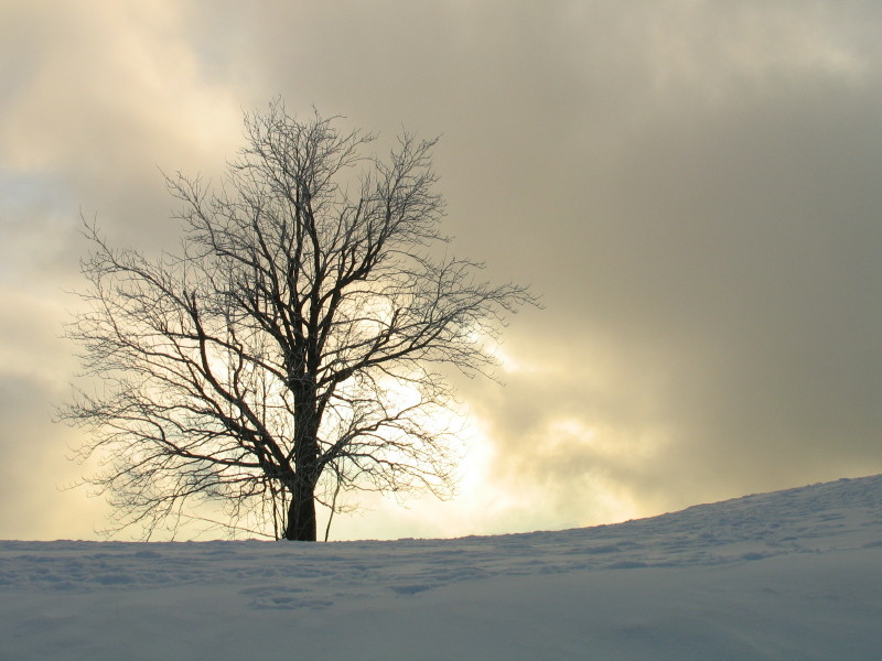 L' inverno