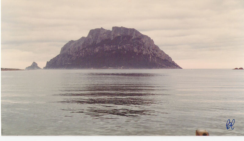 L' Isola di Tavolara