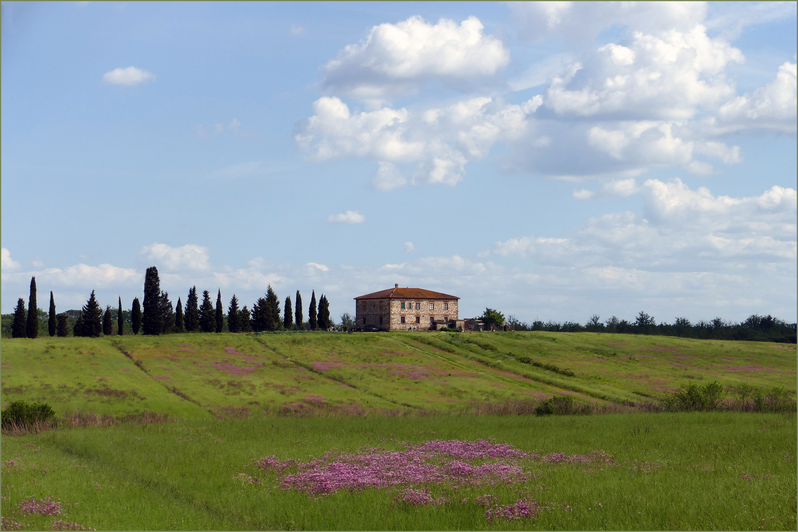 "l italie renaît comme une fleur ..."