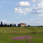 "l italie renaît comme une fleur ..."