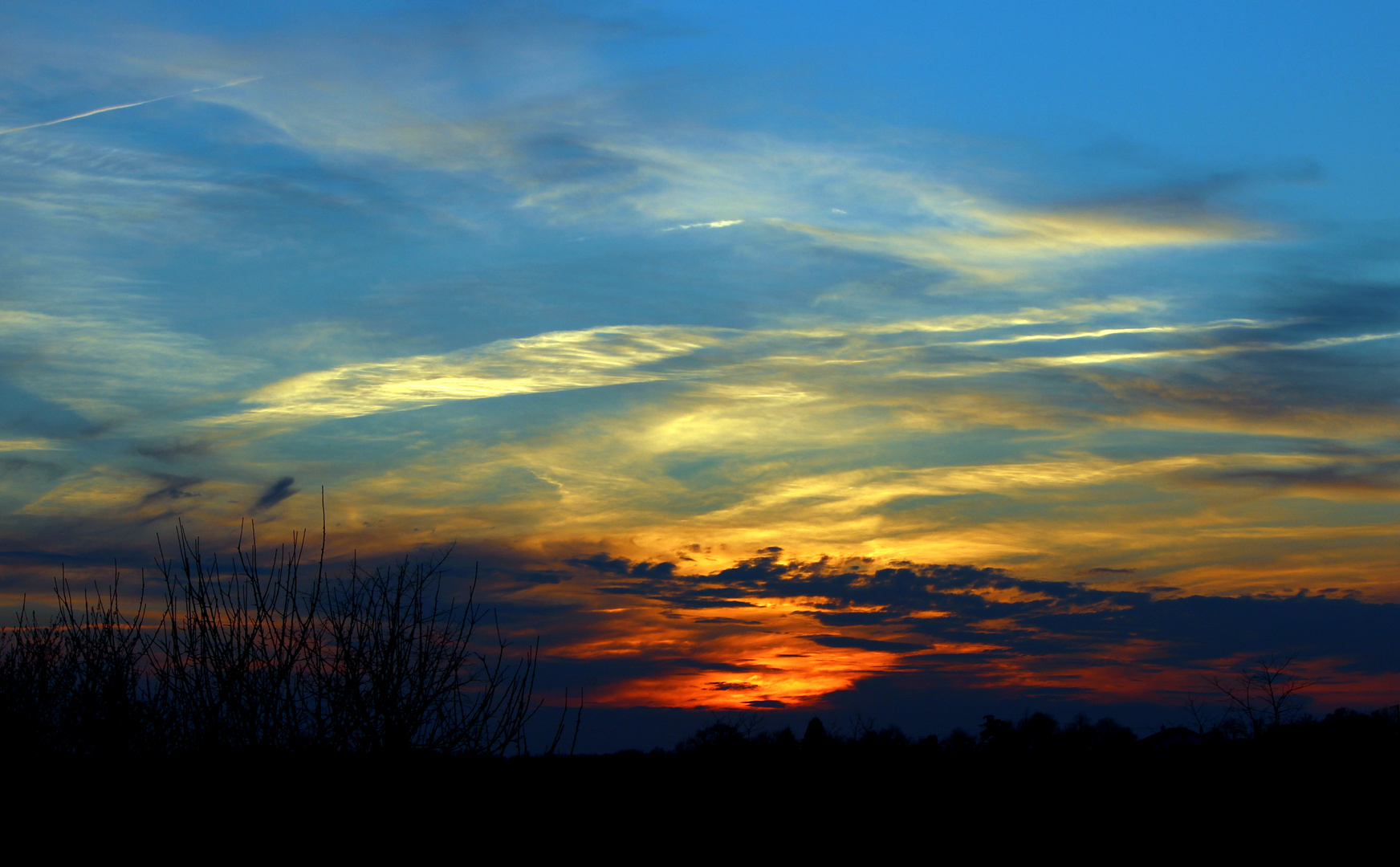 L Ombre Bleue de Nuit...