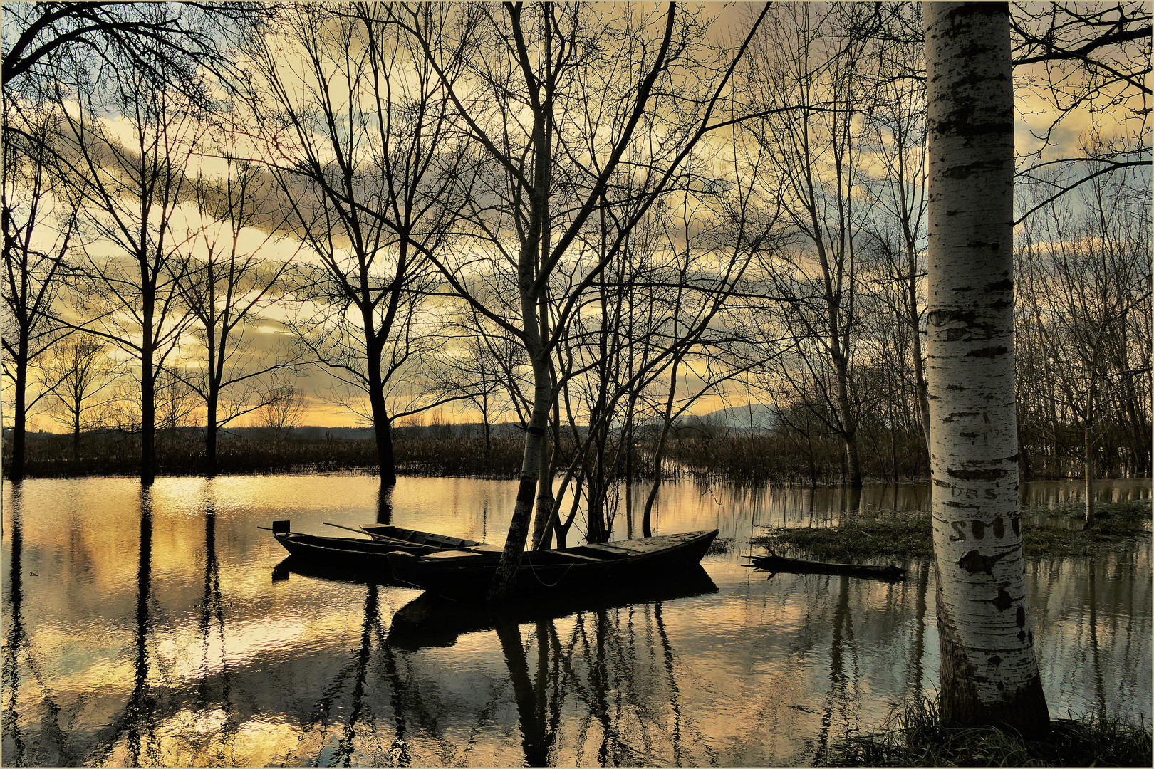 l or du soir au marais  inondé....