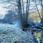 L' ORLE EN ARIEGE