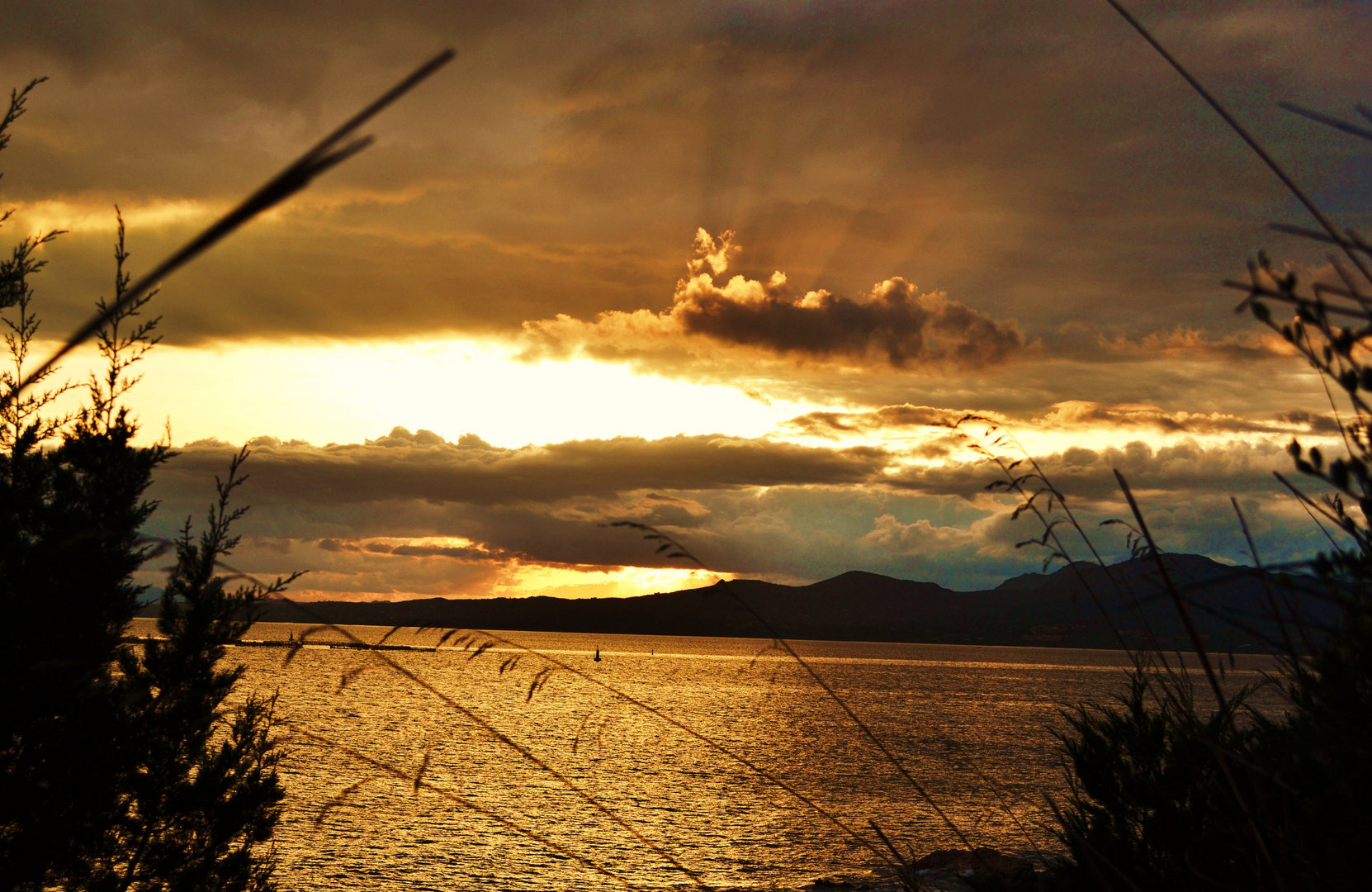 l oro del cielo...