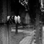 La alambrada.. (Auschwitz)