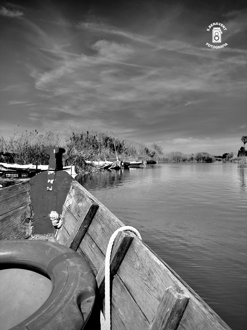 La Albufera 