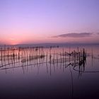 La Albufera