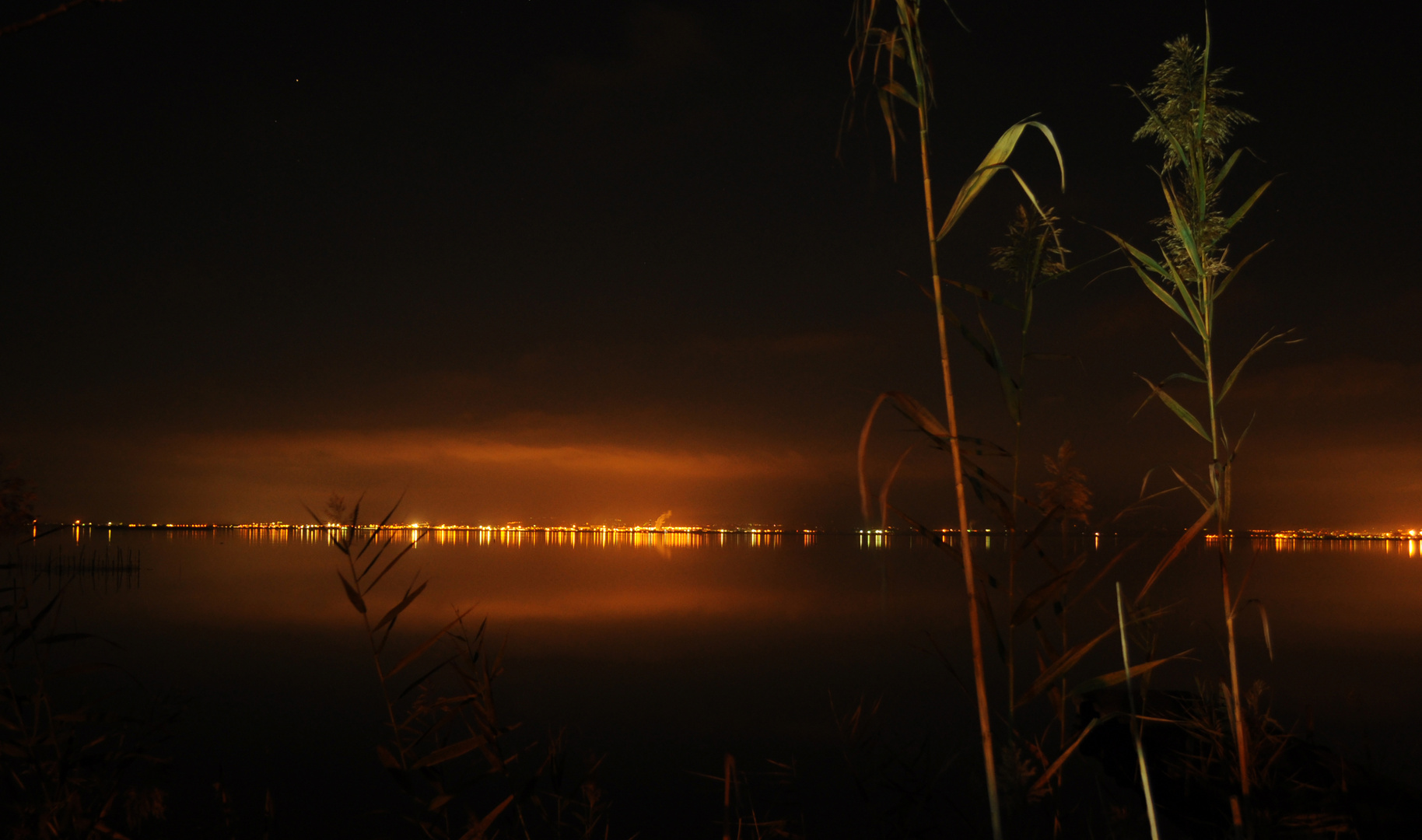 La Albufera de noche