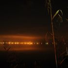 La Albufera de noche