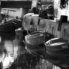 La Albufera de Valencia