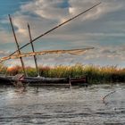 La Albufera de Valencia