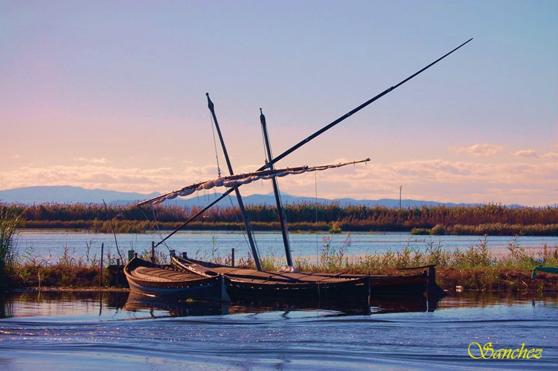 La albufera de Valencia.