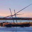 La albufera de Valencia.