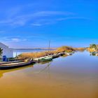 LA ALBUFERA DE VALENCIA