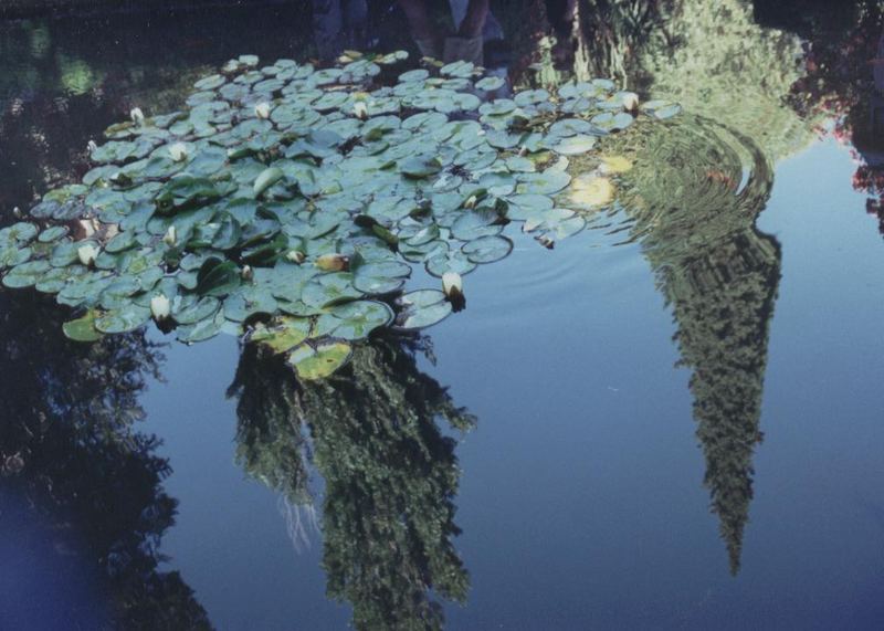 La Alhambra y los sueños que van