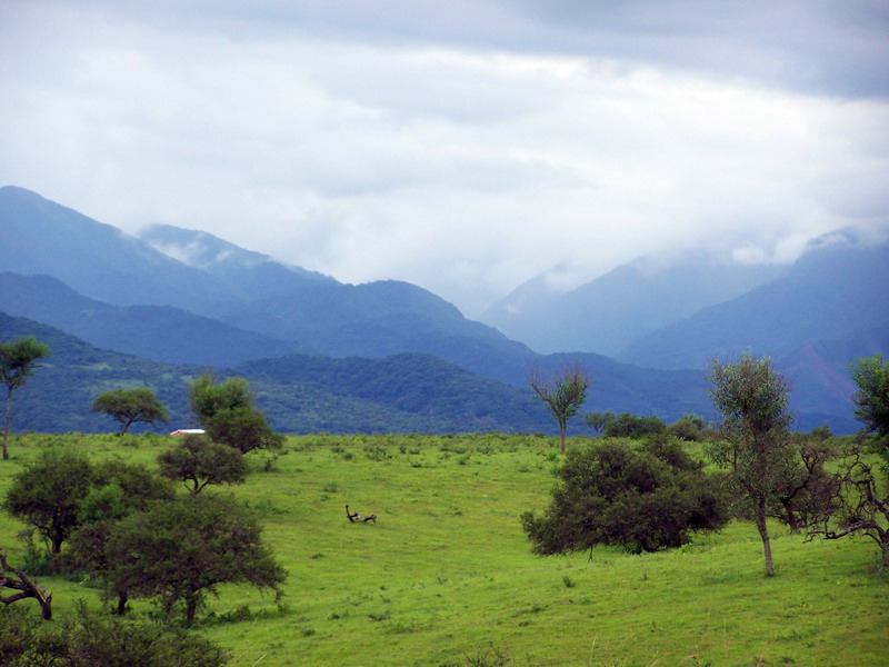 La Almona en verano