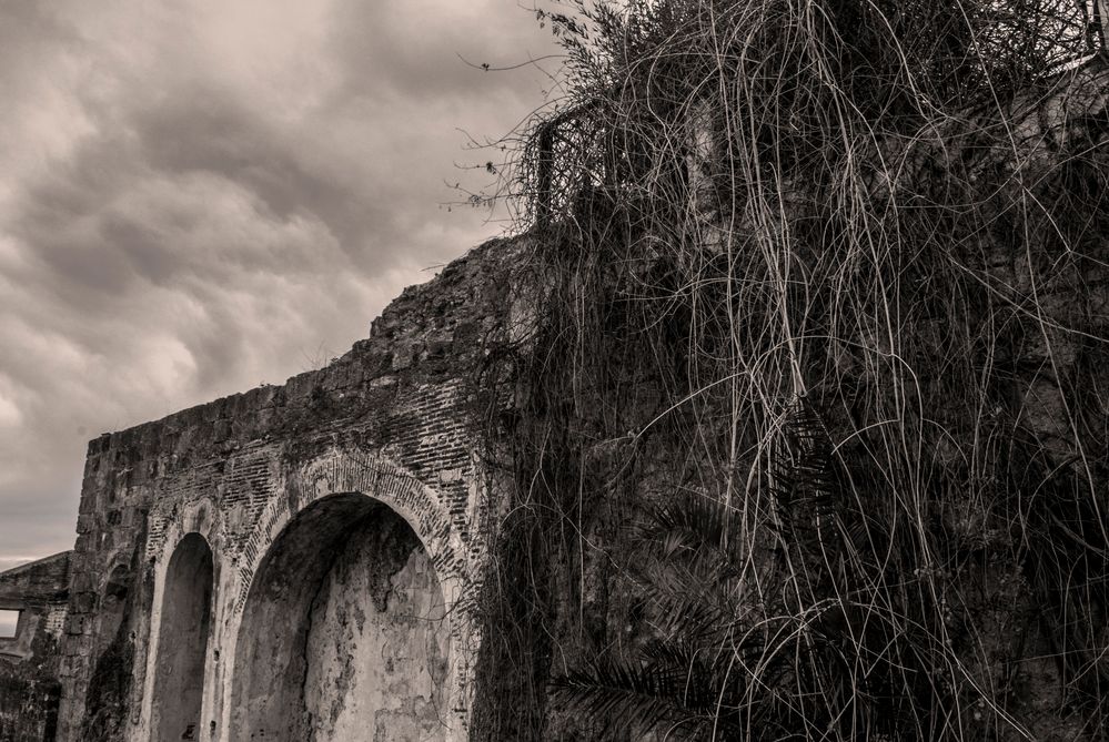 LA ANTIGUA FÁBRICA DE CAÑA DE AZUCAR