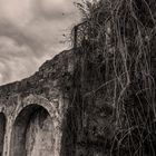 LA ANTIGUA FÁBRICA DE CAÑA DE AZUCAR