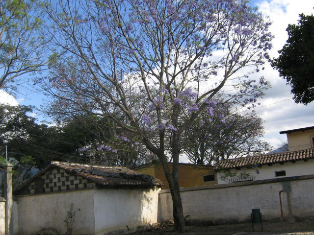 La antigua guatemala