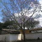 La antigua guatemala