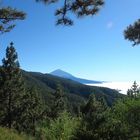 La añoranza de estar mas cerca del ciel