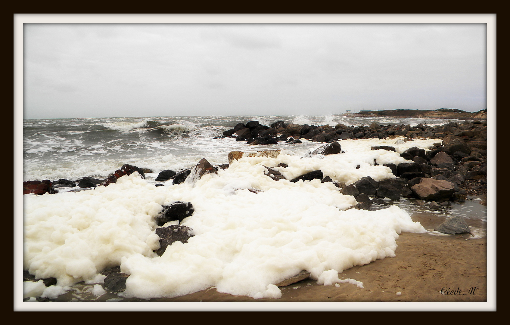 La baie d'Authie