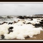 La baie d'Authie