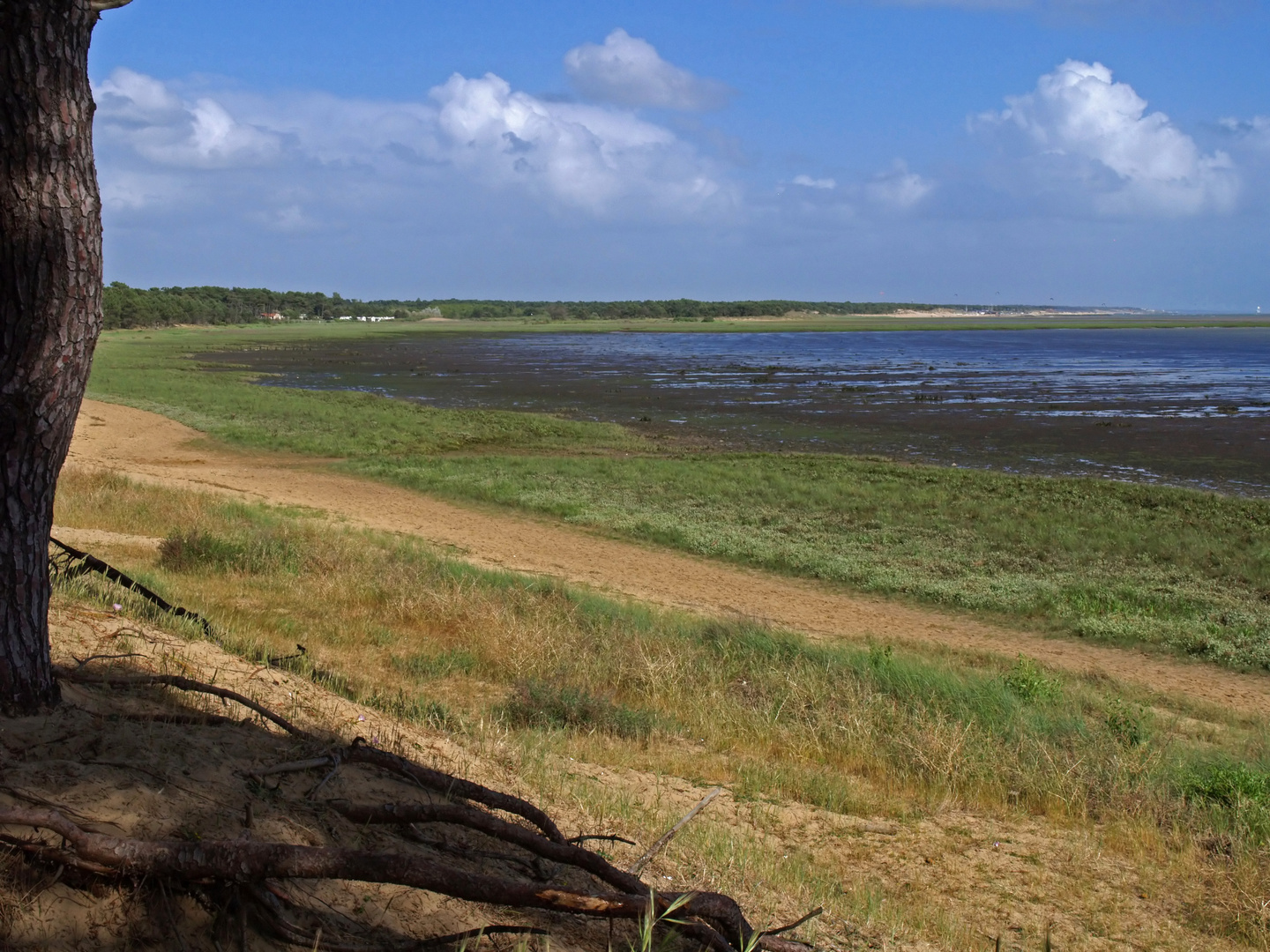 La baie de Bonne Anse à marée basse - Die Bucht von « Bonne Anse » bei Ebbe