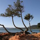 La baie de la paillotte à Francis